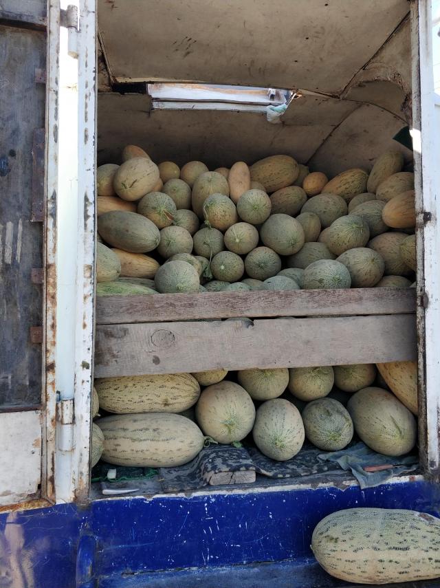 Фото 2 Фото 2