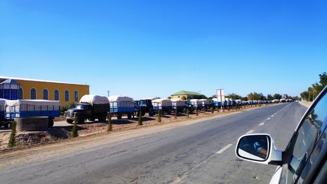 Активный сбор хлопка Активный сбор хлопка