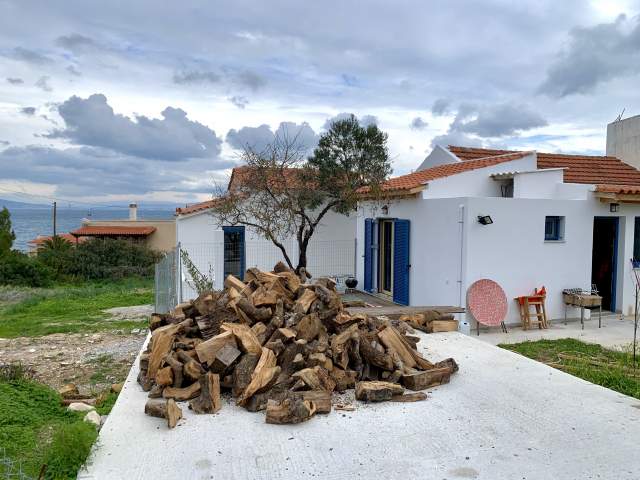 Фото 1 Фото 1