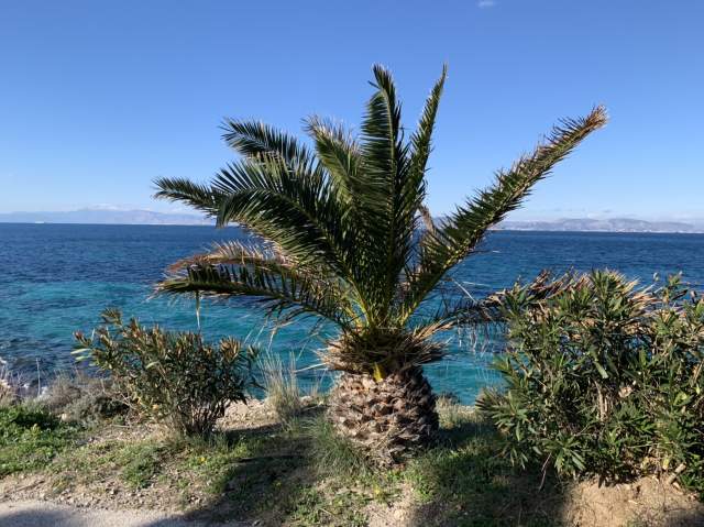 Фото 2 Фото 2