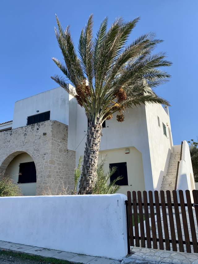 Фото 5 Фото 5