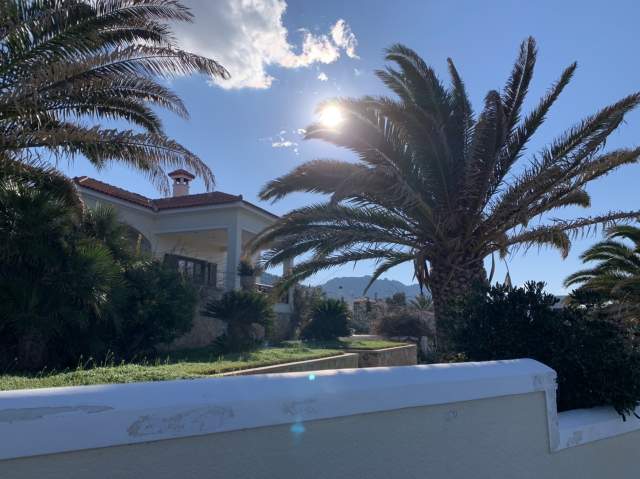 Фото 6 Фото 6