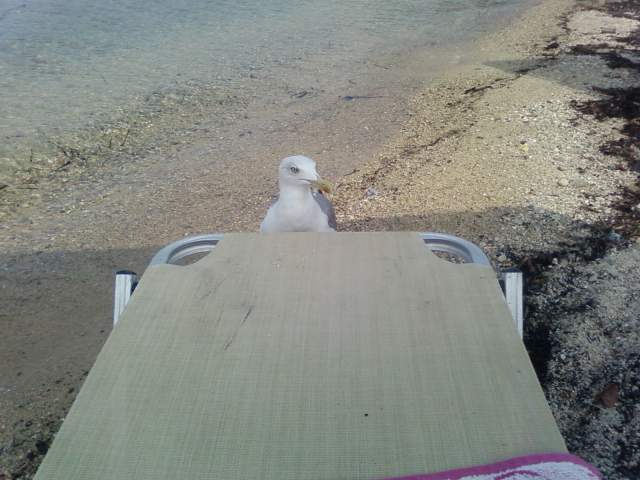 К столу К столу