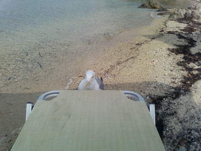 Почему стол пустой? Почему стол пустой?