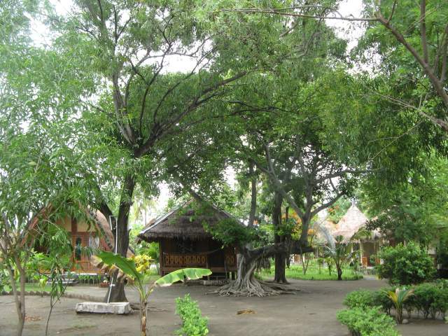 .   - ,      -  ,    -      