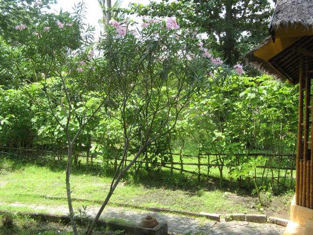     -    ,       %-)))   ,   - ))))