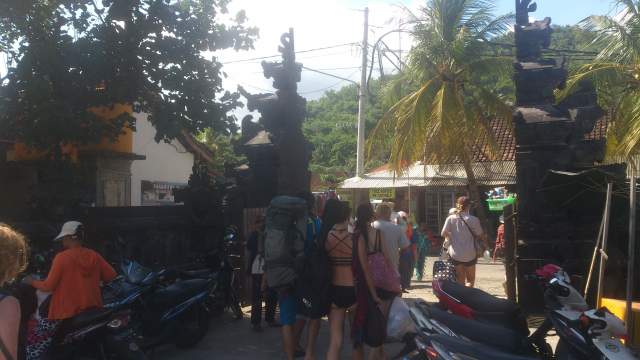 Free Advice!  !      -   %-)))