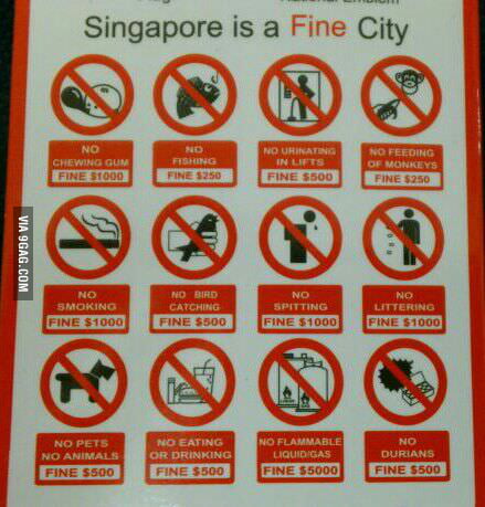 Singapore is a Fine City!