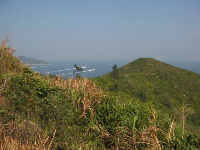   , ,    .     ,  -   - ,   ...