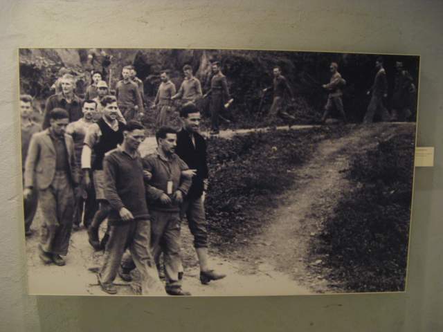    . , ,    ...    - ,    -  .     .