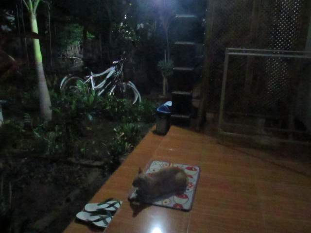  ,  ,   %-)))     )))