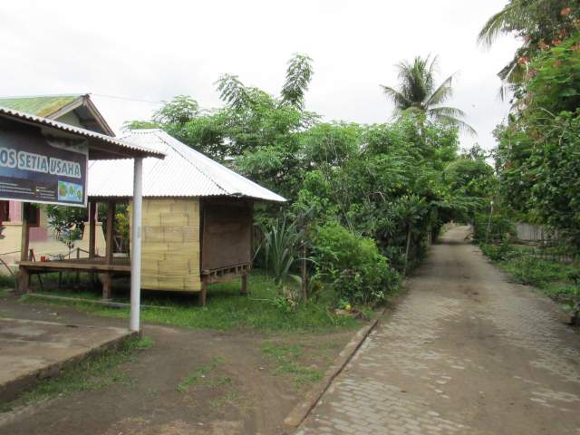  - OS SETIA -      %-)))