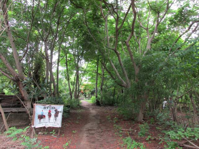 !      -        -    !  !