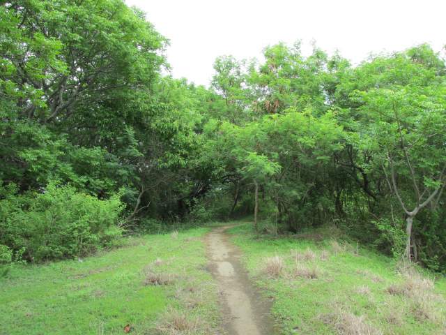   -     ...  - ! %-)))