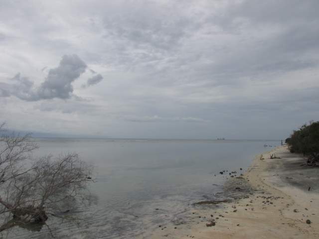   .   ,     - ... %-)))