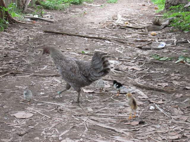    ...  ,  ...      ... %-)))