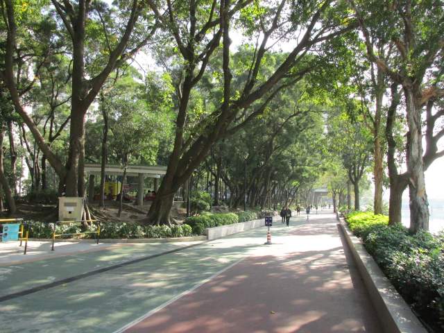    (Tuen Mun Park)