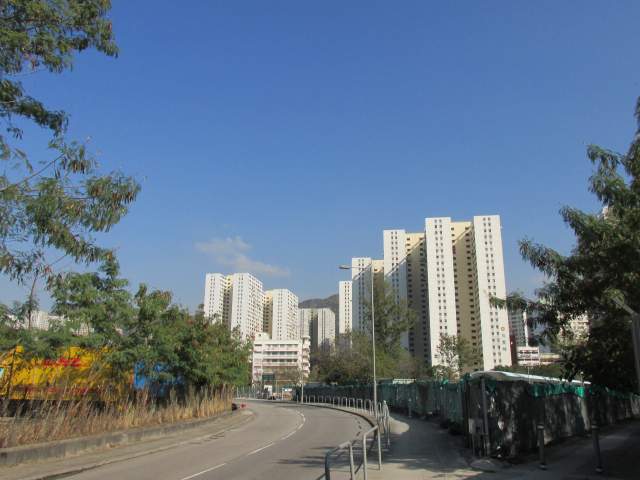     Tsing Shan Monastery Path