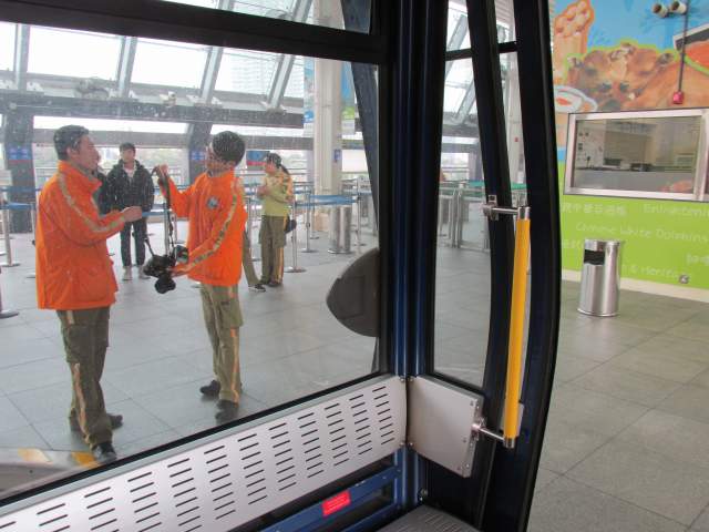 Наблюдаем Игрища Местных За Стеклом... Ж-))) Наблюдаем Игрища Местных За Стеклом... Ж-)))