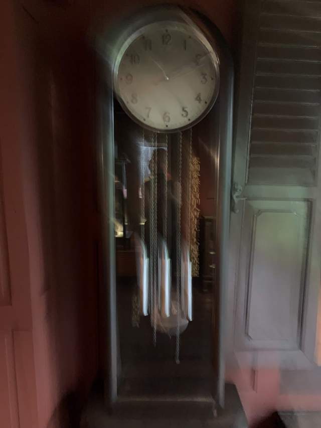    Strangest things&#128518;