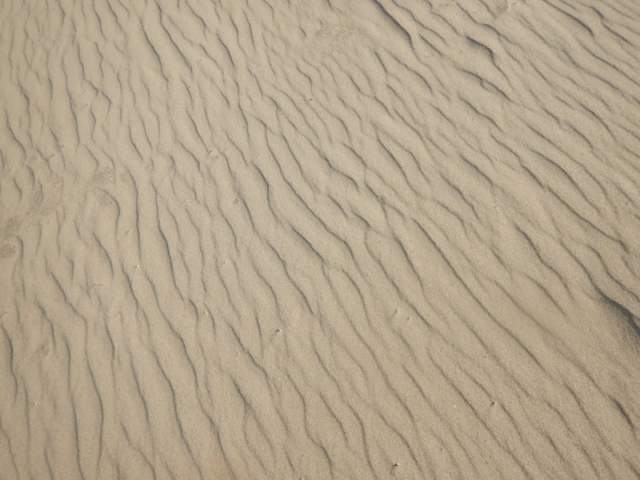 Фото 9 Фото 9