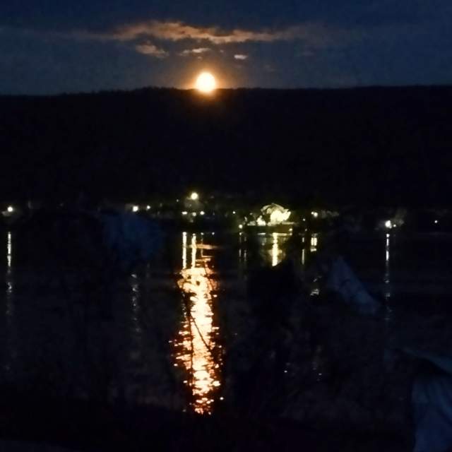 Фото 1 Фото 1