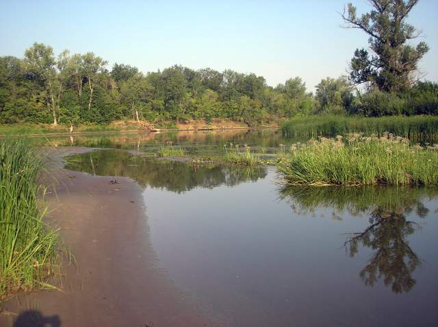 Фото 10 Фото 10