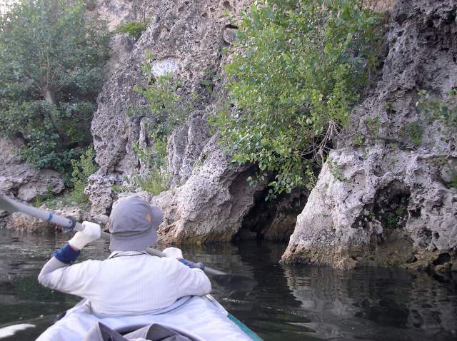 Фото 12 Фото 12