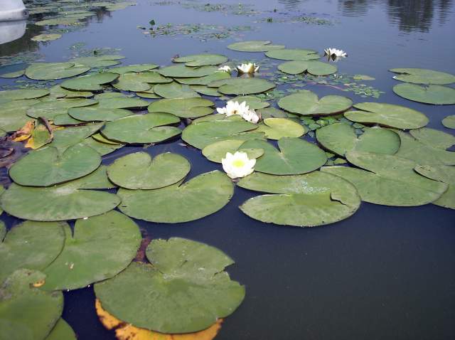 Фото 8 Фото 8