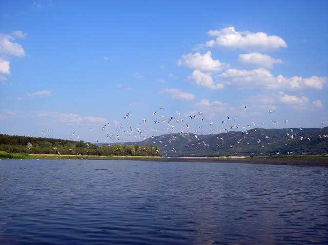 Фото 2 Фото 2