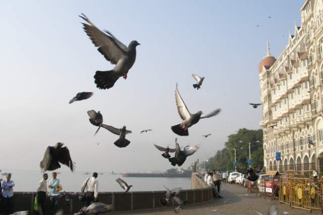 ������, ��� �� �� ������