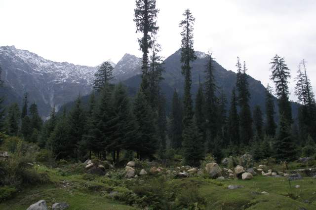 ������� �����, ������� �������, 2007.