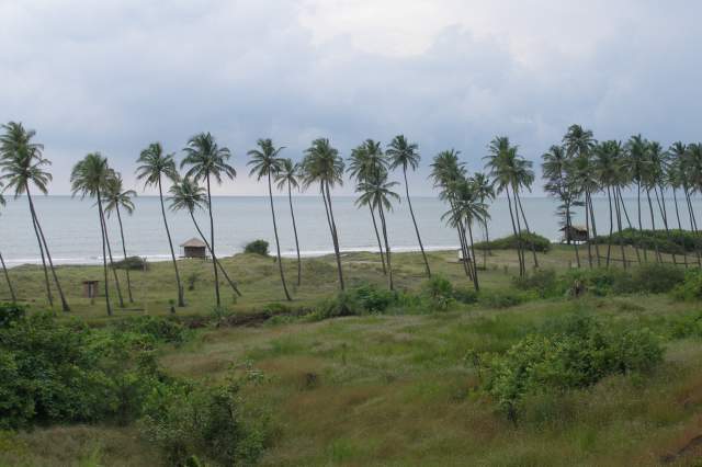 �������-��������, ��� �� �� ������.