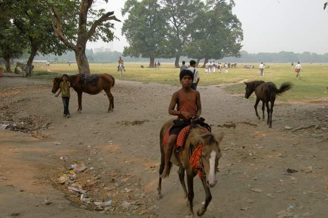 ���������, 2009.