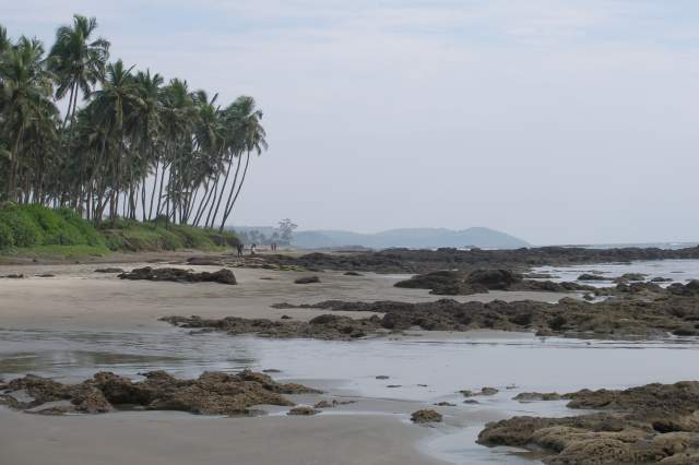 ���� �����, 2007.