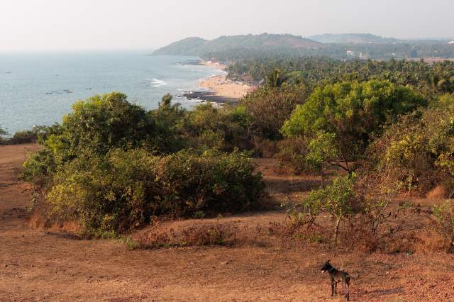 ��� �� ���� ������� � �������������� �����.