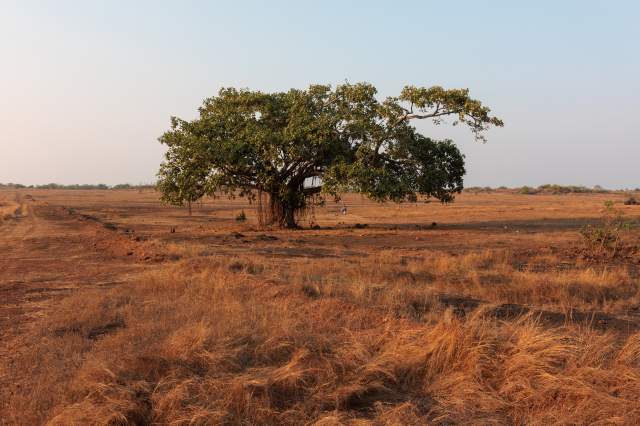 ��������� ����� �����, ������.