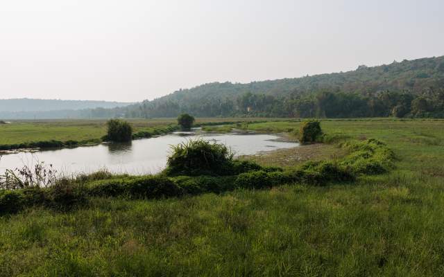 ������, ����� ������.