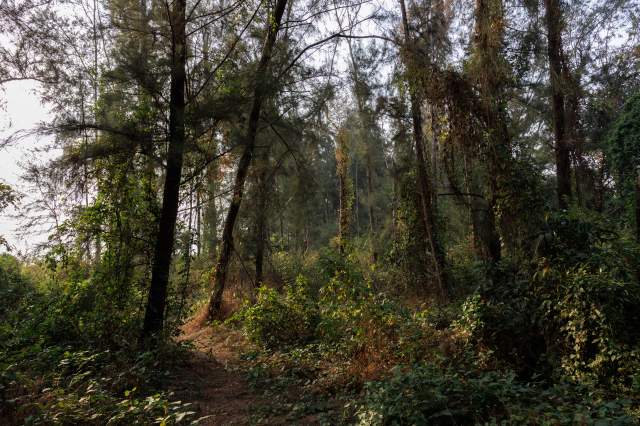 ���� ����� � ������ �������.