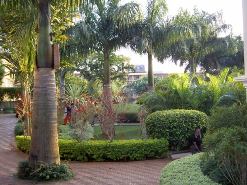 сад Золотого храма сад Золотого храма