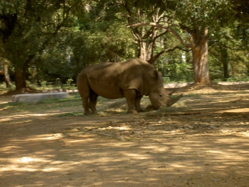 Фото 4 Фото 4