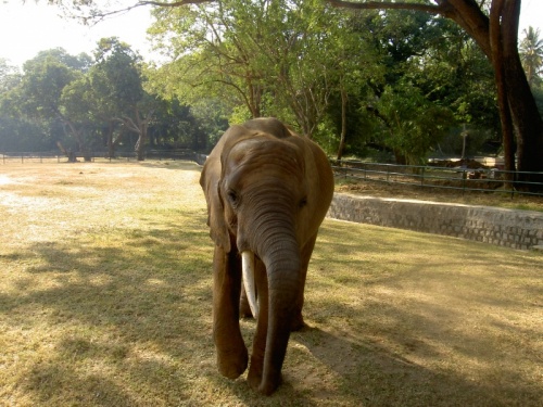Фото 5 Фото 5