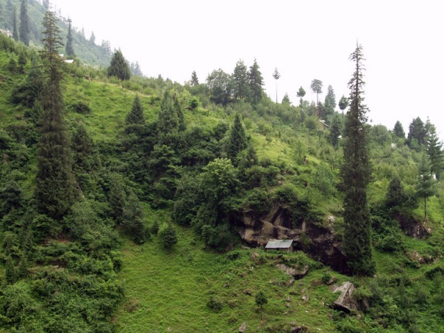 Здесь жил Толкиен Здесь жил Толкиен