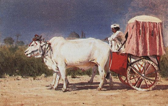Повозка в Дели. 1874-1876