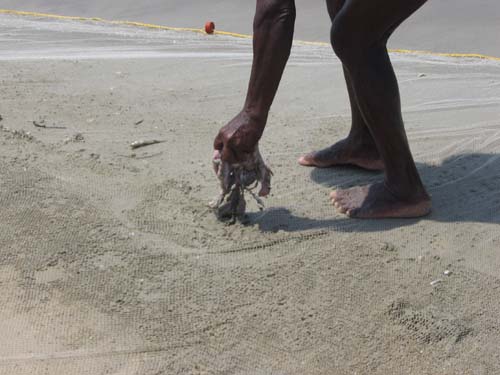 Кальмары- ненужный индийскому рыбаку хлам
