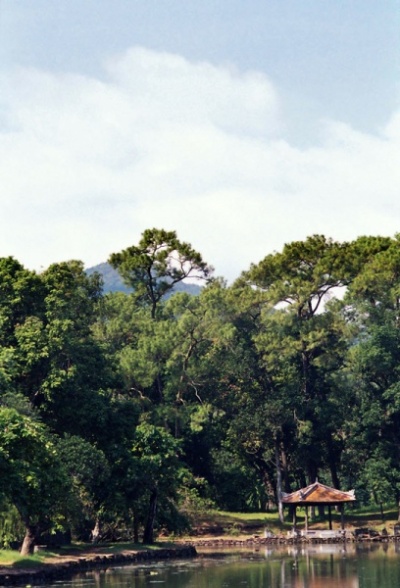 ,     .. :)  badguest