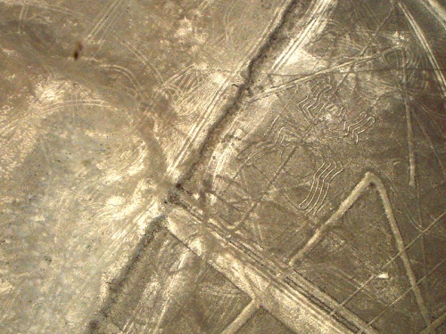 "паук" "паук"