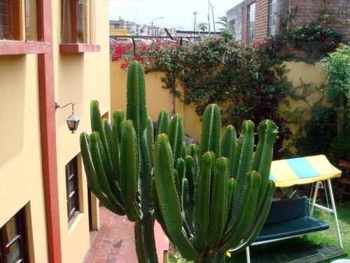 из окна моей гостиницы из окна моей гостиницы