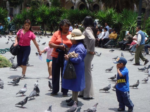 торговка кормом для голубей торговка кормом для голубей