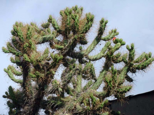 это Южная Америка! :) это Южная Америка! :)